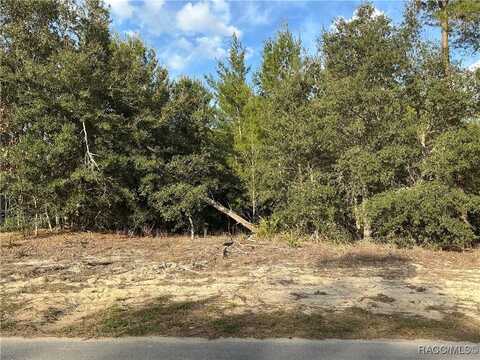 51 Grass Street, Homosassa, FL 34446