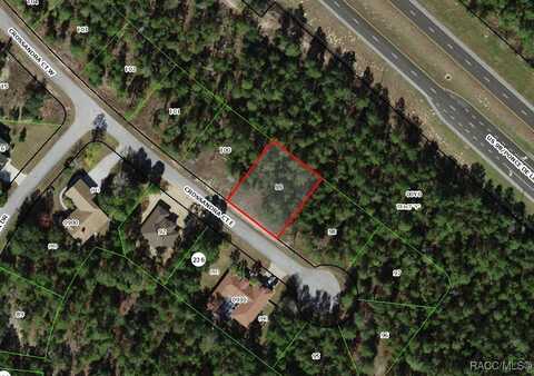 7 Crossandra Court E, Homosassa, FL 34446