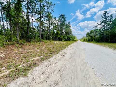 0000 NE 131 Terrace, Williston, FL 32696
