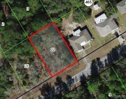 275 W Brimson Place, Citrus Springs, FL 34434