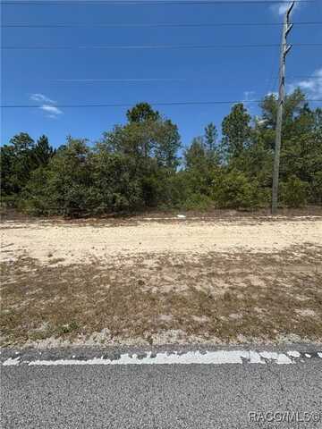 10264 N Elkcam Boulevard, Citrus Springs, FL 34433