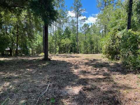 Lot 51 SW 57th Place, Dunnellon, FL 34432