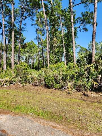 Lot 9 Sandbar Dr, Port Saint Joe, FL 32456