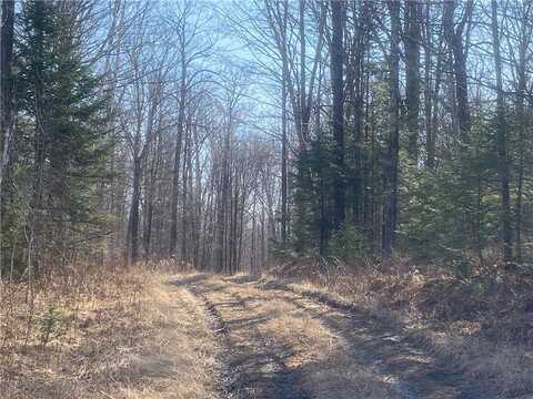 ON S Buckhorn Road, Park Falls, WI 54552