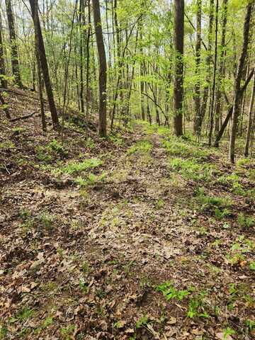 Chestnut Mountain Road, Reliance, TN 37369