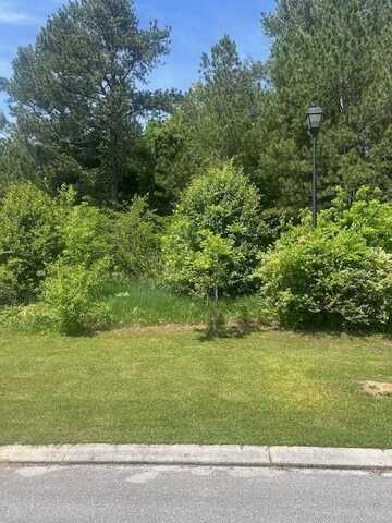 22 Cork Oak Circle, Ringgold, GA 30736