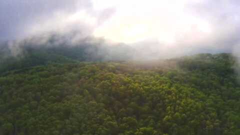 5.41 Acres Raenne Drive, Spring City, TN 37381