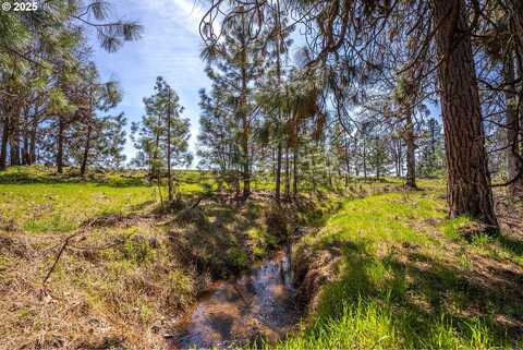 10 OUTBACK RD, Goldendale, WA 98620