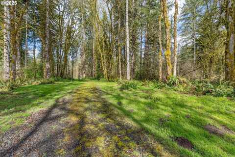 171 DEER PARK LN, Toledo, WA 98591