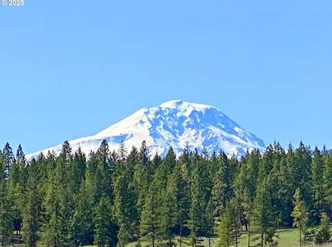 761 Pine Forest RD, Goldendale, WA 98620