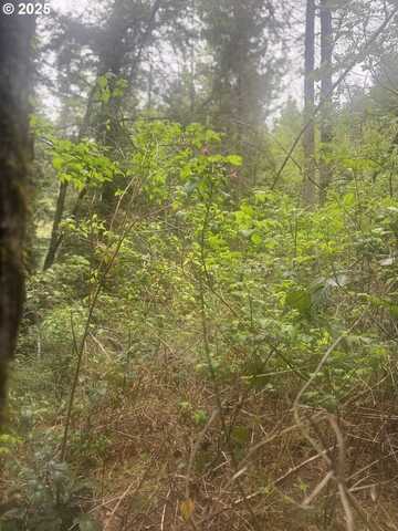 0 GRAHAM ST, Coos Bay, OR 97420