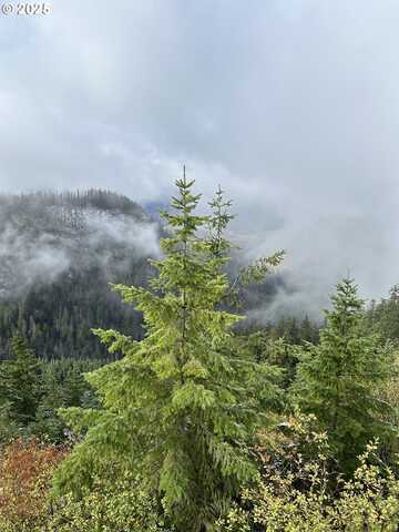 0 CALAPOOIA RD, Sweet Home, OR 97386