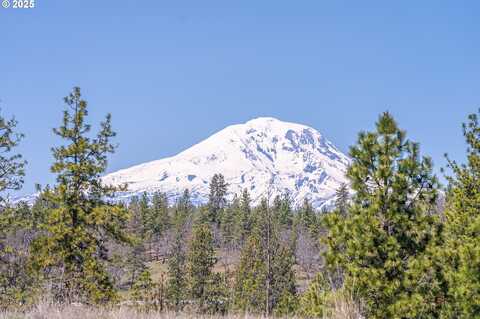 40 MOUNTAINSCAPE CIR, Goldendale, WA 98620