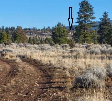 0000 Old State Hwy 97, MacDoel, CA 96058