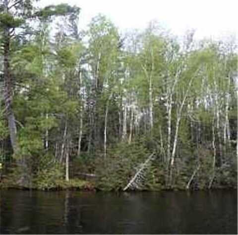 5829 Pine Island N, Tower, MN 55790