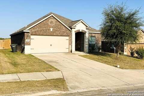 280 chrysanthemum, New Braunfels, TX 78132