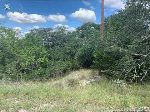1406 Soaring Eagle Dr, Fischer, TX 78623