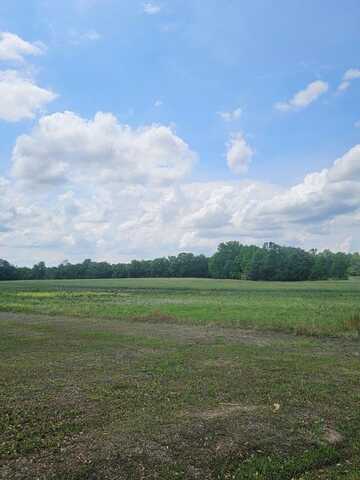 TBD Wactor Rd, Santee, SC 29142