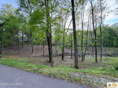 Lot 44A Walleye Way, Scottsville, KY 42164