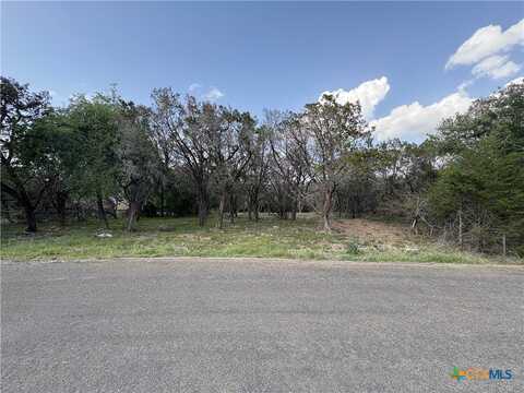 2303 Prickley Pear Road, Belton, TX 76513