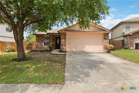 360 Ibis Falls Drive, New Braunfels, TX 78130