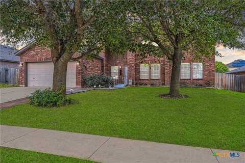 19628 San Chisolm Drive, Round Rock, TX 78664