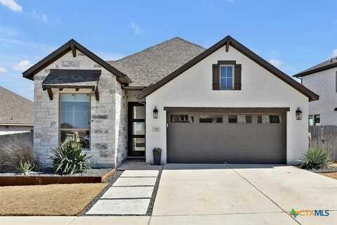 378 Carpenter Hill Drive, Buda, TX 78610