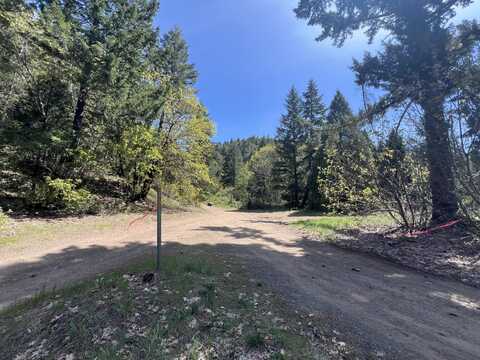 Redwood Highway, O'Brien, OR 97534
