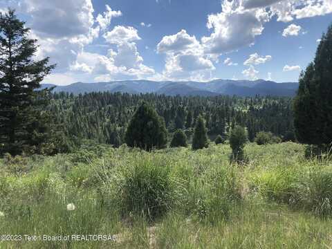 L63 Blk4 CUTTHROAT RUN, Irwin, ID 83428