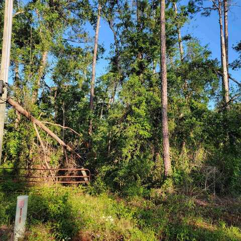 NE Chervil Drive, Lee, FL 32059