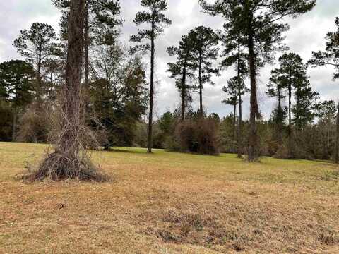 Lot 19 Wisteria Lane, Havana, FL 32333