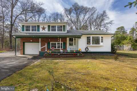 3025 ELWOOD ROAD, HAMMONTON, NJ 08037