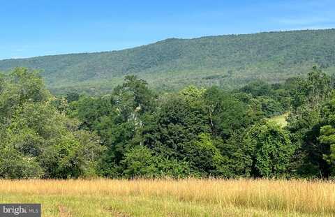 11774 BACK ROAD, TOMS BROOK, VA 22660