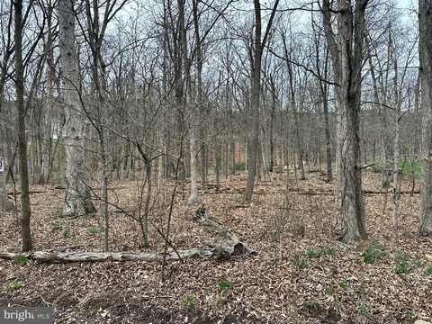 TIMBERLAKE ESTATES - LOT 27, NEW CREEK, WV 26743