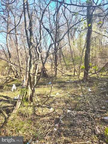 CAULKS FIELD ROAD, CHESTERTOWN, MD 21620