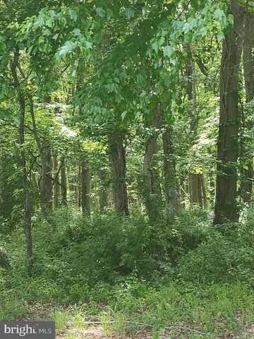 CAULKS FIELD ROAD, CHESTERTOWN, MD 21620
