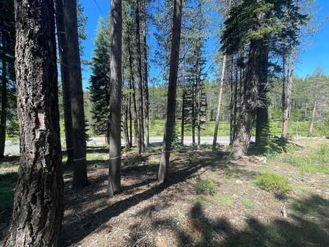 12173 Northwoods Boulevard, Truckee, CA 96161