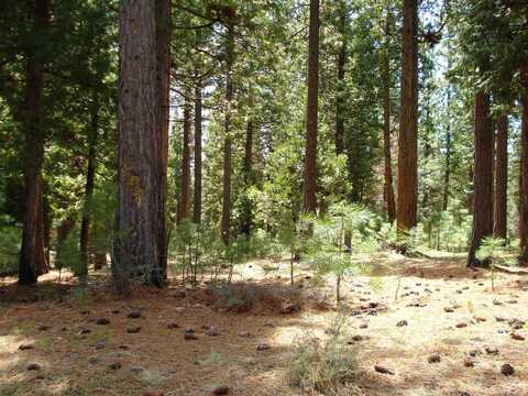 745 Blacktail Ridge, Portola, CA 96122