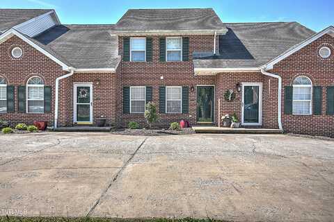 127 Eagle View Pvt Drive, Blountville, TN 37617