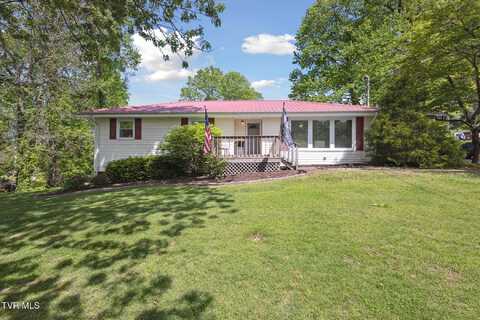 330 Lovelace Mountain View Loop, Fall Branch, TN 37656