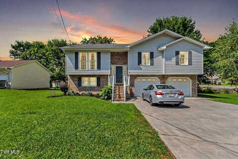 219 Grandview Street, Mount Carmel, TN 37645
