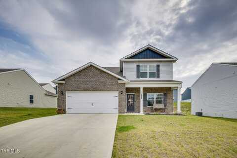 625 Butler Lane, Blountville, TN 37617