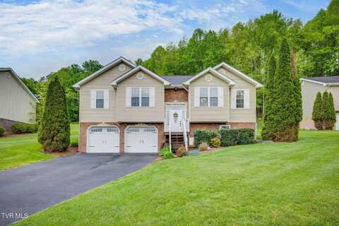 113 Millard Lane, Blountville, TN 37617