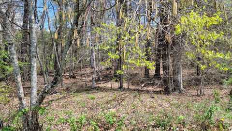 00 East E Hillcrest Street, Mountain City, TN 37683