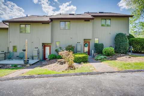 209 Willowbend Lane, Kingsport, TN 37660
