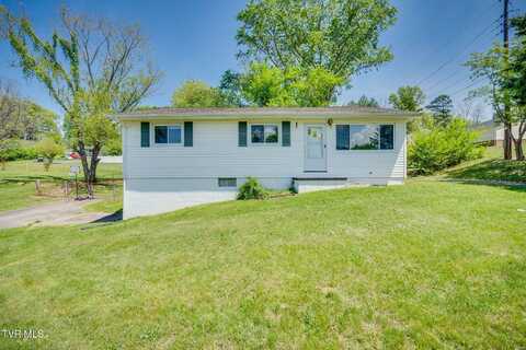 310 North Avenue, Church Hill, TN 37642