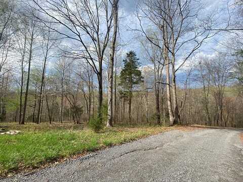 295 Copperhead Rd, LAFAYETTE, TN 37083