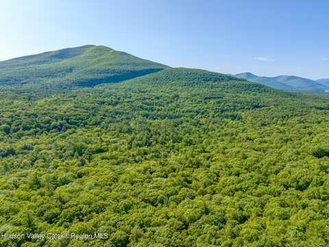 291 Acorn Hill Road, Olive, NY 12461