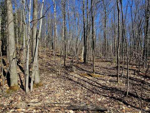 TBD W 10 Acres Prospect, Bessemer, MI 49911