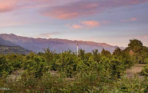 714 Mercer Avenue, Ojai, CA 93023